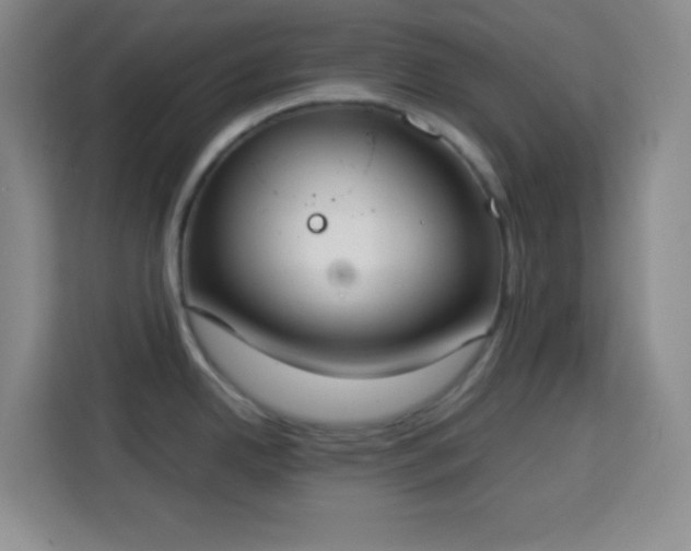 X0000113751342200909301024