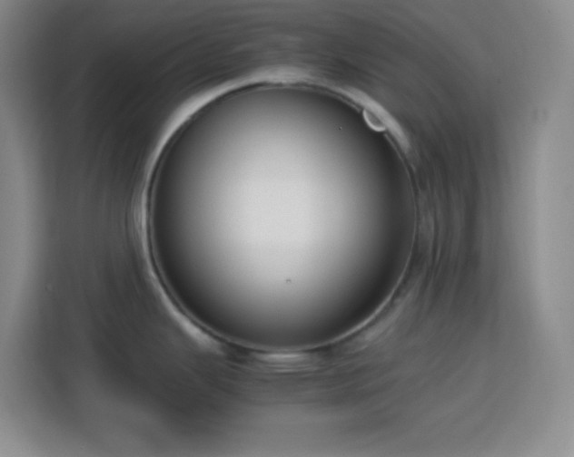 X0000113751343200909301024