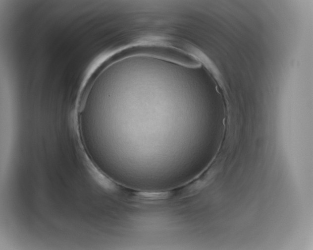 X0000113751344200909301024