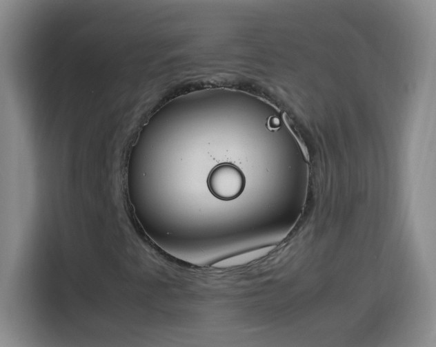 X0000113751345200909301023