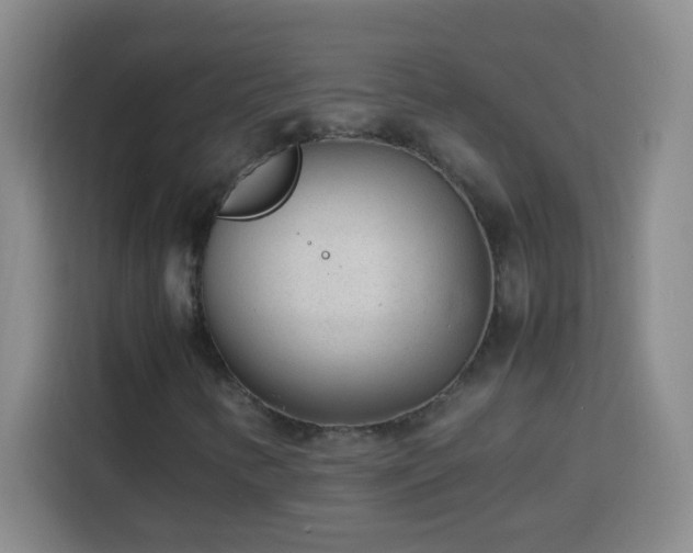 X0000113751346200909301023