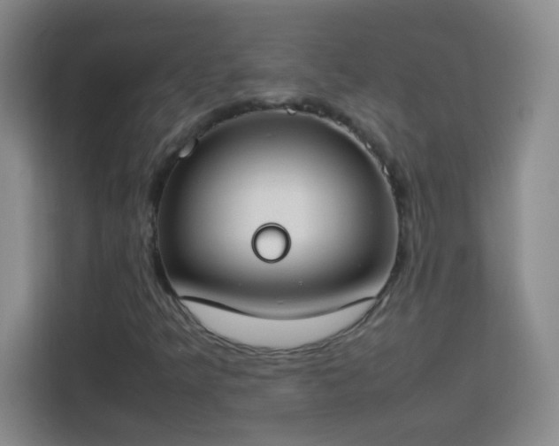 X0000113751349200909301023