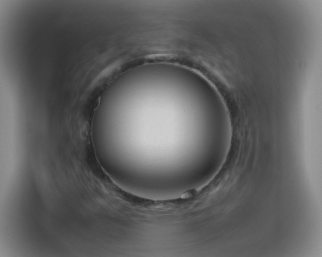 X0000113751351200909301023