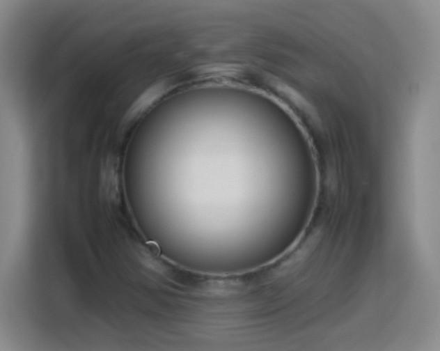 X0000113751354200909301023