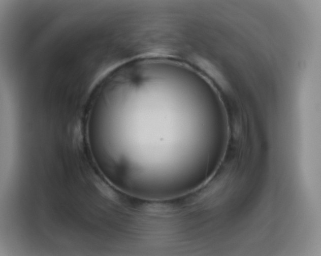 X0000113751356200909301023