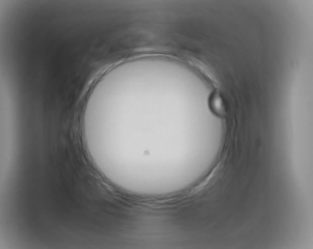 X0000113751357200909301023