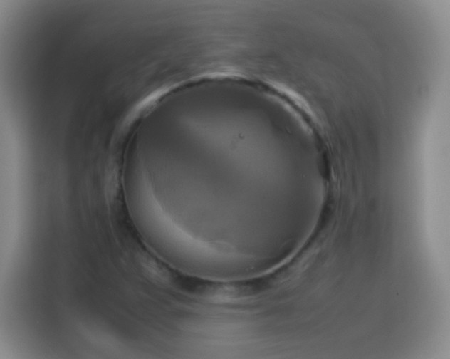 X0000113751359200909301023
