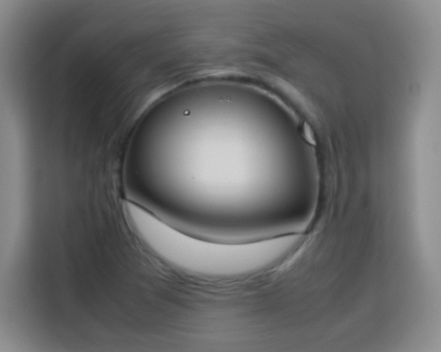 X0000113751361200909301023
