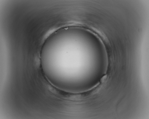 X0000113751363200909301023