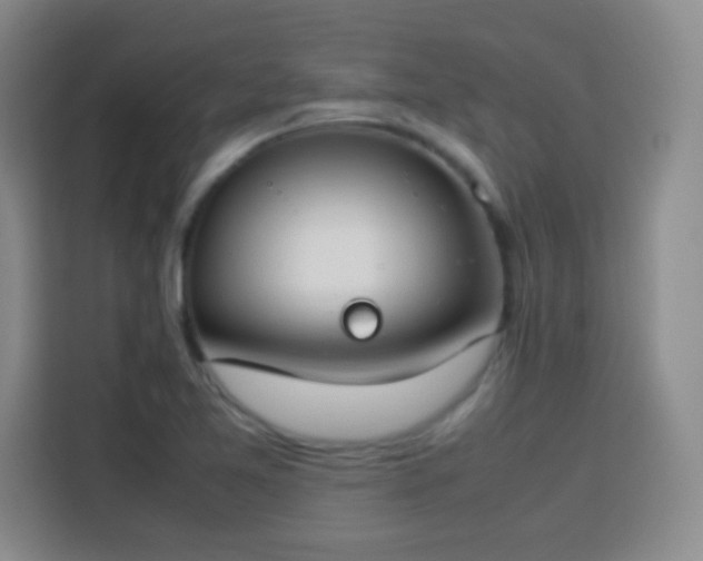 X0000113751365200909301023