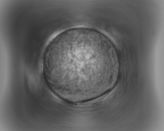 X0000113751367200909301023