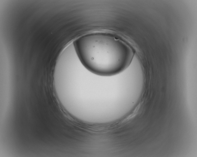 X0000113751369200909301023
