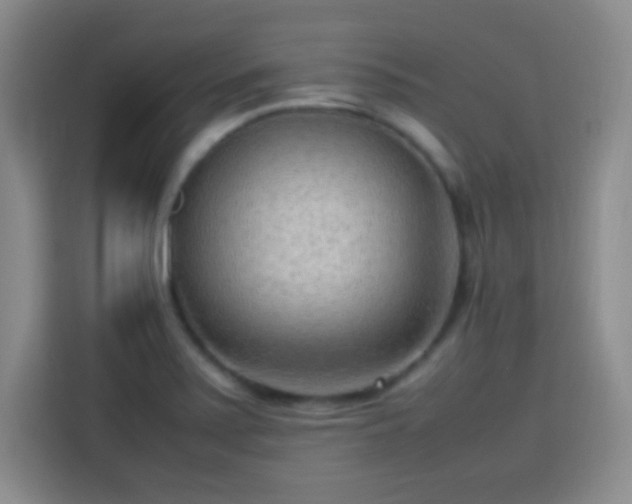 X0000113751371200909301023