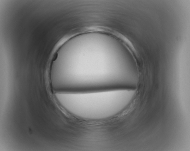 X0000113751373200909301023