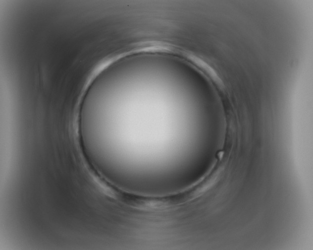 X0000113751375200909301023