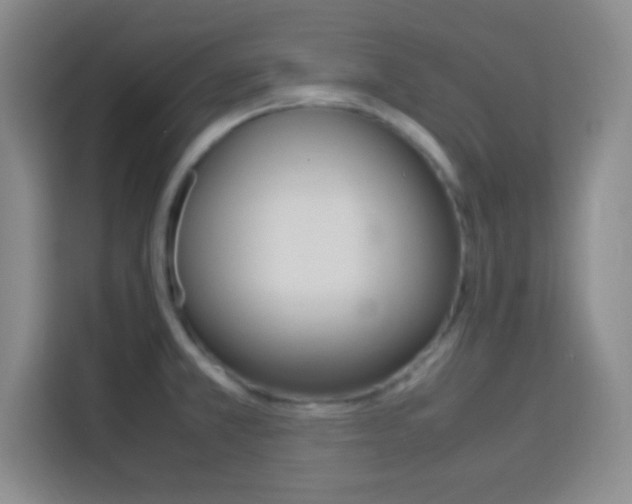 X0000113751381200909301023