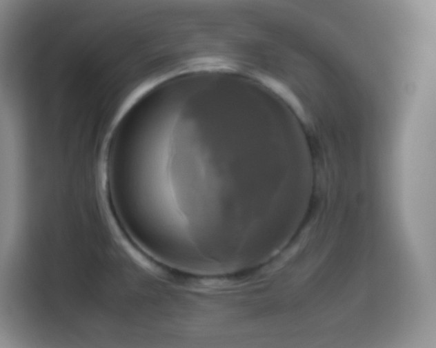 X0000113751383200909301023