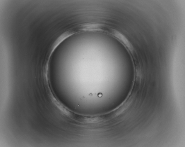 X0000113751386200909301023