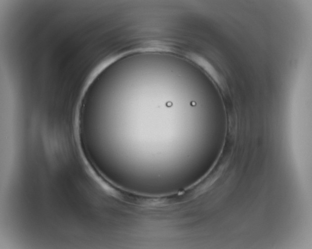 X0000113751387200909301023