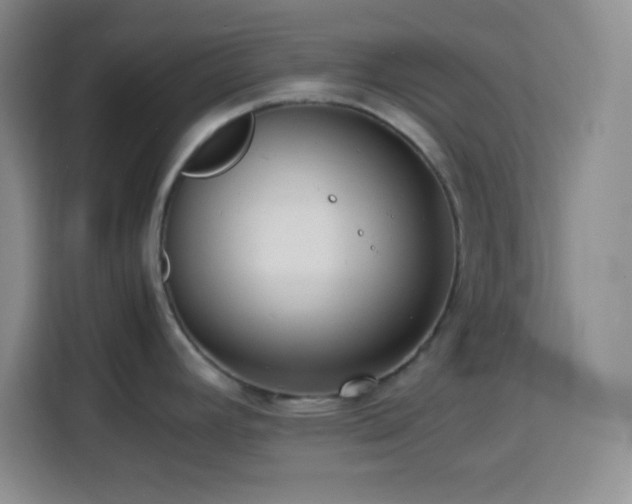 X0000113751392200909301023