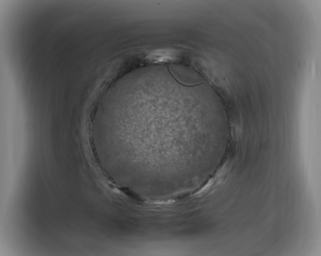 X0000113751393200909301022