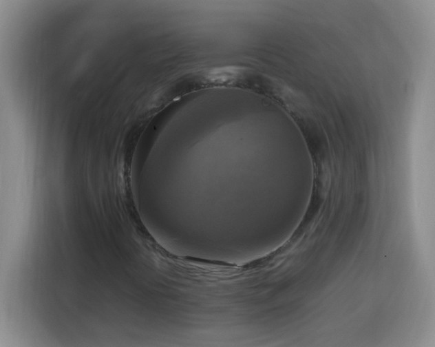 X0000113751394200909301022