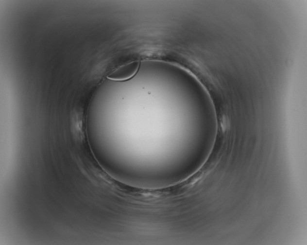 X0000113751396200909301022