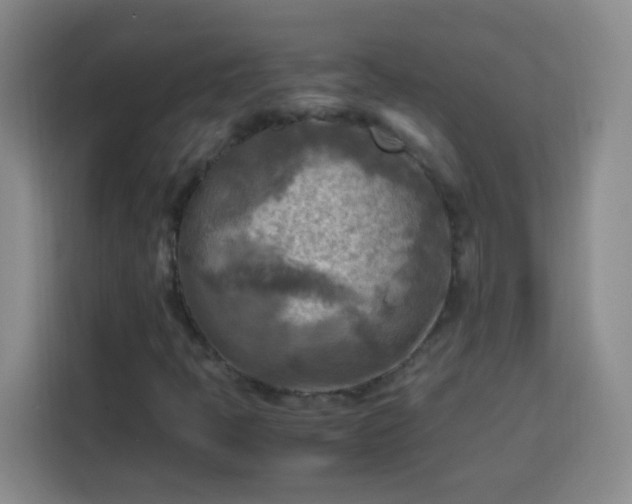 X0000113751397200909301022