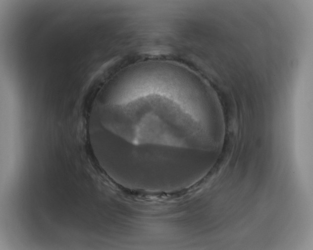 X0000113751398200909301022