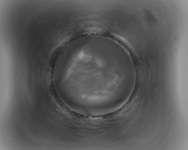 X0000113751399200909301022