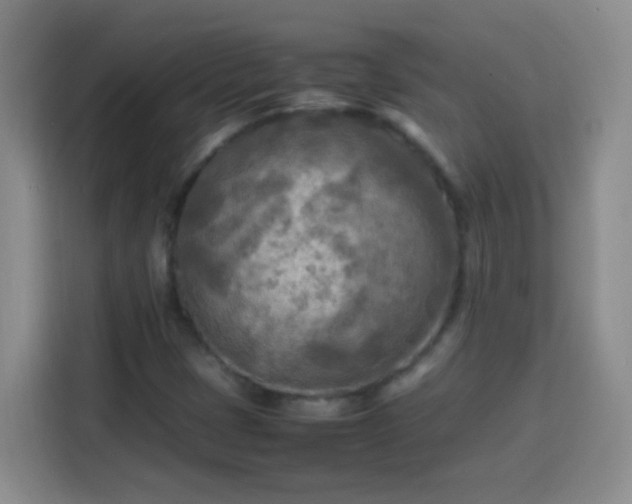 X0000113751401200909301022