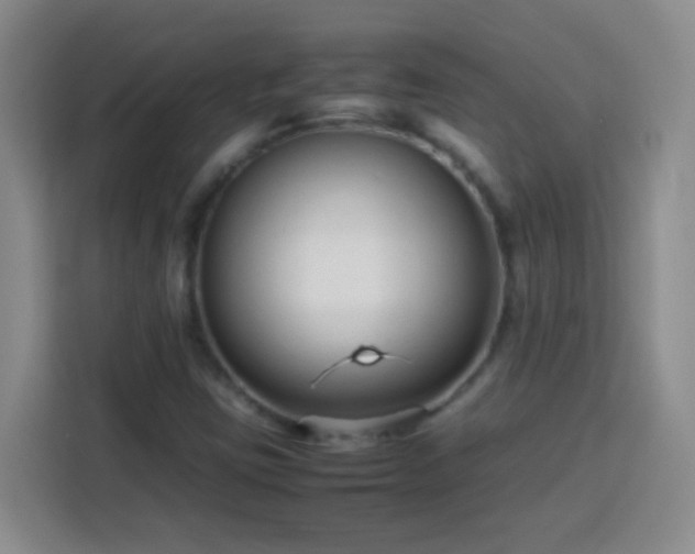 X0000113751403200909301022
