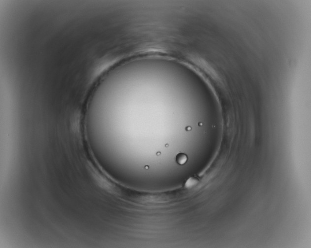 X0000113751404200909301022