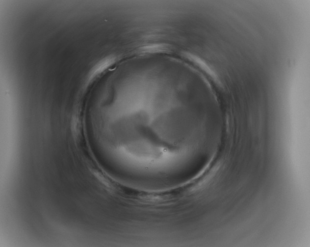 X0000113751405200909301022