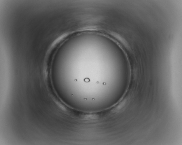 X0000113751406200909301022