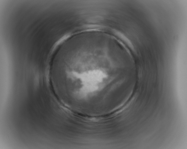 X0000113751411200909301022
