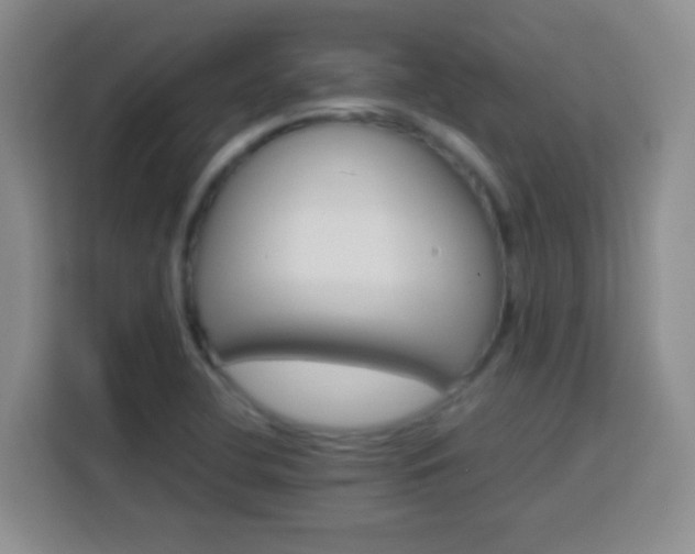 X0000113751412200909301022