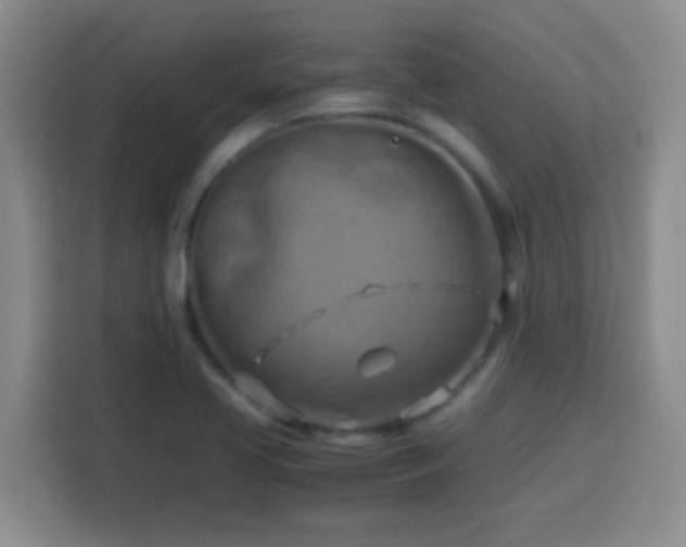 X0000113751413200909301022