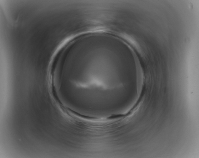 X0000113751414200909301022