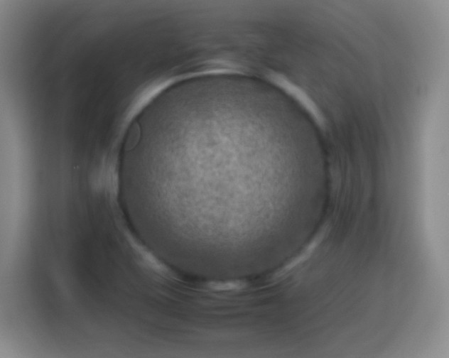 X0000113751415200909301022