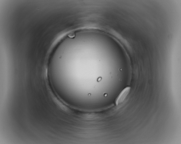 X0000113751416200909301022