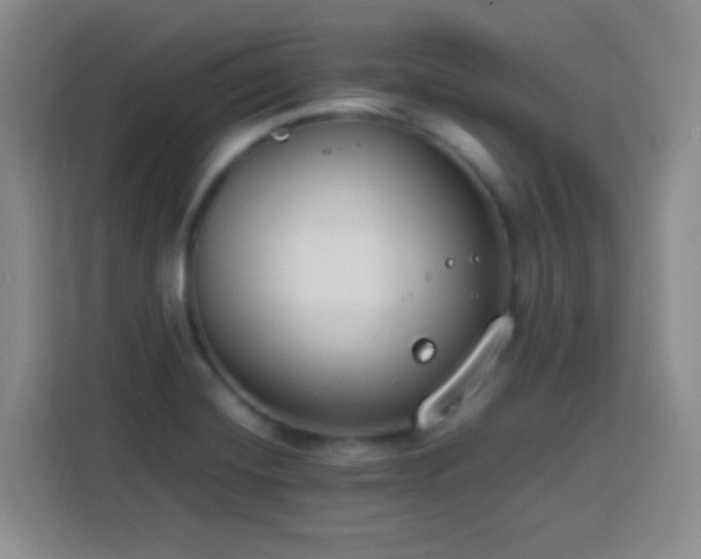 X0000113751420200909301022