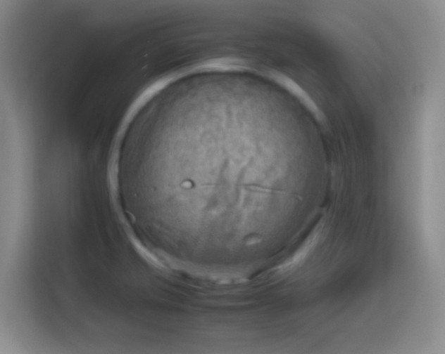 X0000113751421200909301022