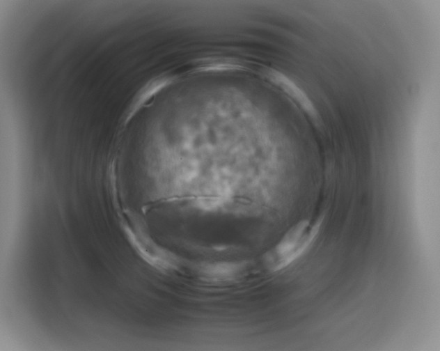 X0000113751425200909301022