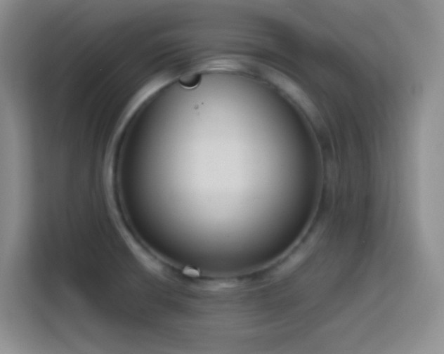 X0000113751426200909301022