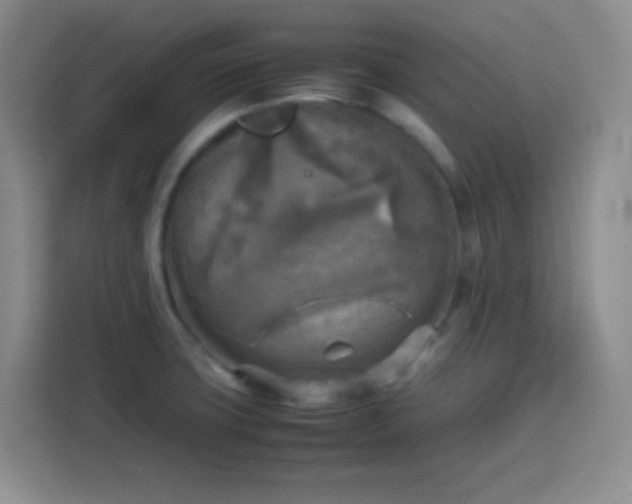 X0000113751427200909301022