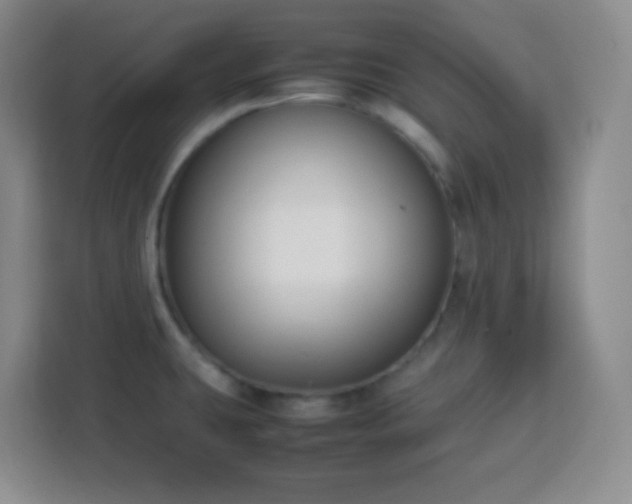 X0000113751431200909301022