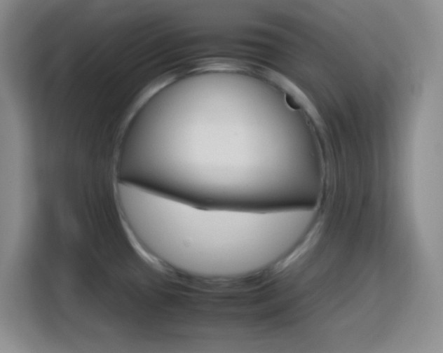 X0000113751433200909301022