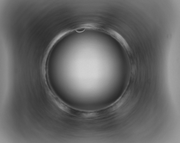 X0000113751435200909301023