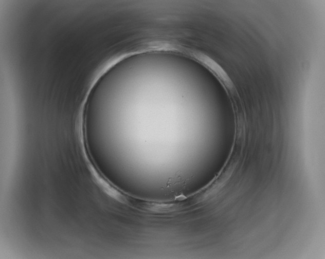 X0000113751439200909301023